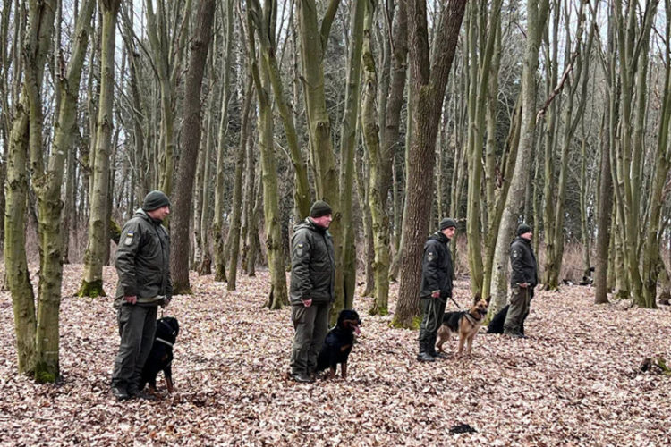 На Тернопільщині кінологи вчать своїх помічників затримувати людей та шукати небезпечні предмети