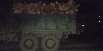 Поліція Тернопільщини затримала чоловіка, який незаконно продавав деревину