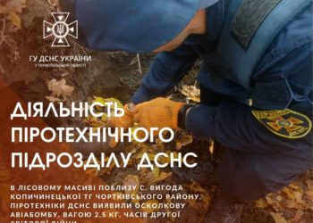 В громаді на Тернопільщині рятувальники знищили двокілограмову авіабомбу