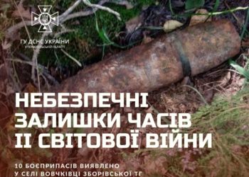 На Тернопільщині, під час обробки земельної ділянки, люди знайшли 10 боєприпасів