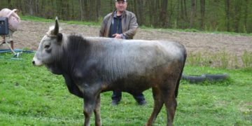 На Тернопільщині чоловік відкрив ферму, де розводить унікальних тварин