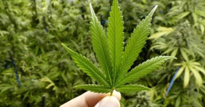 “Склянка дурману за 1000 гривень”, – двоє чоловіків на Тернопільщині вирішили організувати нелегальний бізнес