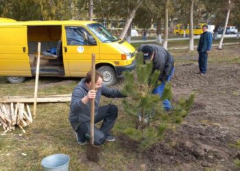У місті обласного значення на Тернопільщині відкрили мінідендропарк