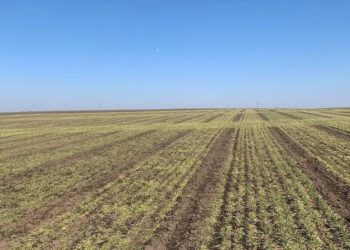 СБУ повернуло громадам Тернопільщини землю, яка була у власності громадян росії