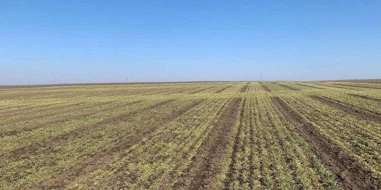 СБУ повернуло громадам Тернопільщини землю, яка була у власності громадян росії