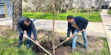 В одному з парків Тернополя висадили 30 екзотичних дерев