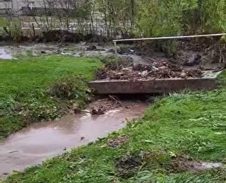 Стихія наробила біди: на Тернопільщині сильна злива затопила вулиці