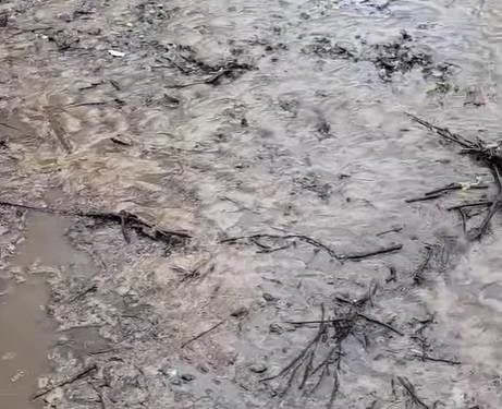 Стихія наробила біди: на Тернопільщині сильна злива затопила вулиці