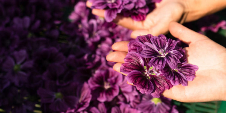 Освітній проект для молоді «Розумний город», започаткований «Контінентал», стартував учетверте