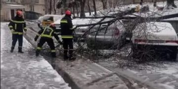 Стихія завдає збитків: у Тернополі на припарковані автівки впало дерево
