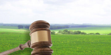 Коледж на Тернопільщині отримав землю вартістю 53 мільйони гривень