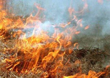 На Тернопільщині згоріло декілька гектарів сухої трави: жителів області попереджають про відповідальність