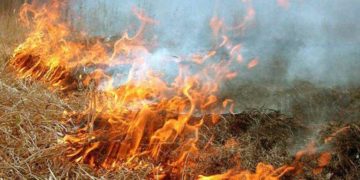 На Тернопільщині згоріло декілька гектарів сухої трави: жителів області попереджають про відповідальність