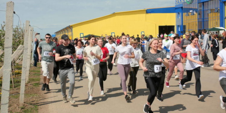 «Гадз» є спонсором забігу «Київський півмарафон незламності», а також проводить благодійний захід «Квітучий сад 2023» на Тернопільщині