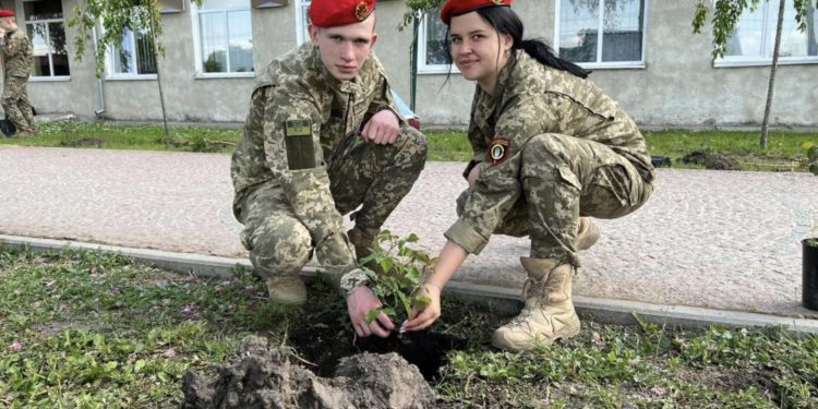 Трояндову алею до Дня героїв України висадили в ЗУНУ