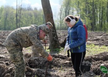 Військові, діти та лісівники посадили ліс на Тернопільщині