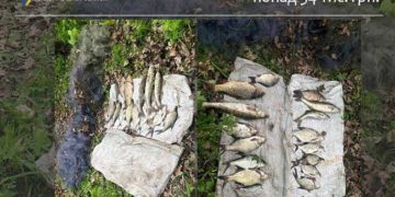 На Тернопільщині спіймали браконьєрів: чоловіки завдали збитків на понад 34 тисячі гривень