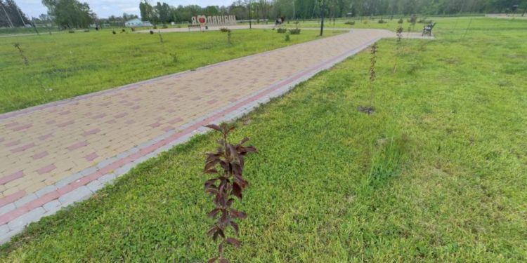 В громаді на Тернопільщині висадили понад двісті екзотичних рослин