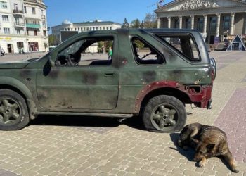 На Театральному майдані Тернополя відкрили благодійну виставку на підтримку захисників України