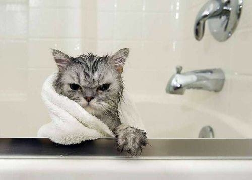 Частина міста обласного значення на Тернопільщині цілий день буде без водопостачання