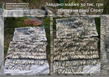 Поліція Тернопільщини затримала браконьєра, який незаконно виловлював рибу: збитки сягнули майже 30 тисяч гривень