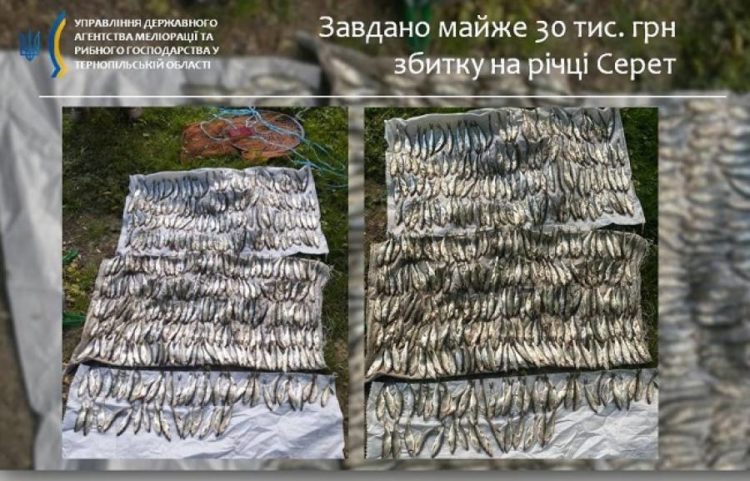 Поліція Тернопільщини затримала браконьєра, який незаконно виловлював рибу: збитки сягнули майже 30 тисяч гривень