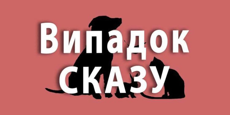 В селі на Тернопільщині зафіксовано випадок сказу: запроваджено карантинні обмеження