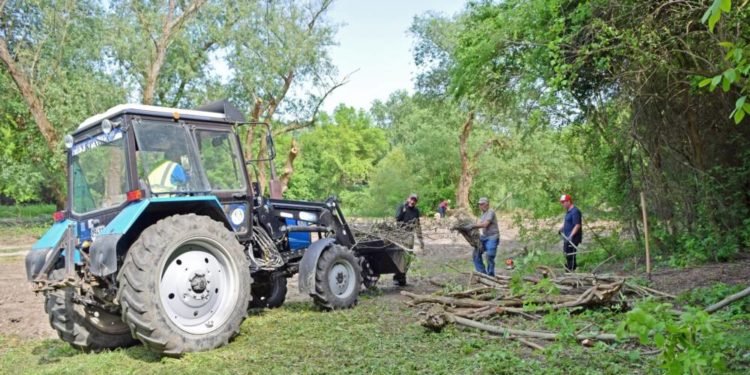 Оновлення міського пляжу у місті на Тернопільщині: повернення популярного місця відпочинку
