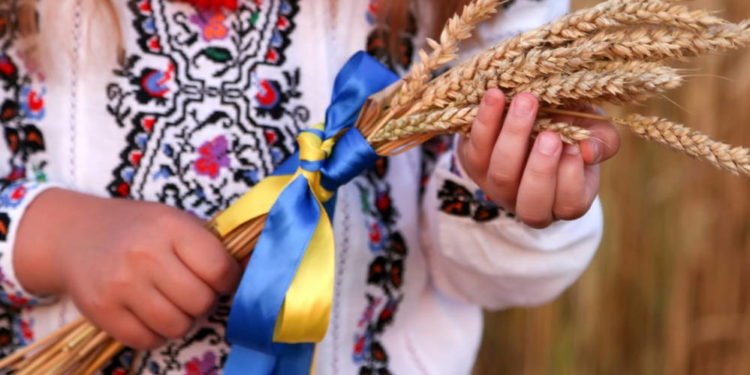 В громадському транспорті Тернополя цілий день у буде безкоштовний проїзд