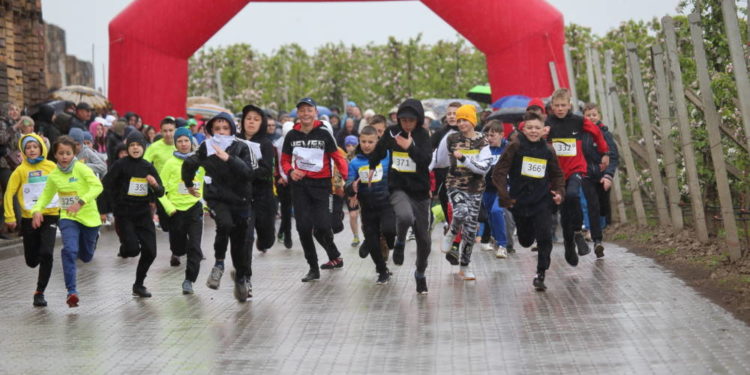 У квітучих садах Петра Гадза вчора провели масштабний забіг, щоб допомогти ЗСУ