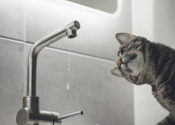 Прорив трубопроводів у Тернополі: без гарячої води залишилися понад сто будинків