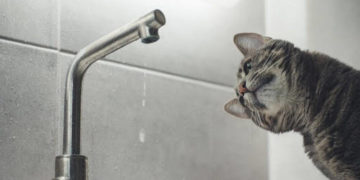 Прорив трубопроводів у Тернополі: без гарячої води залишилися понад сто будинків