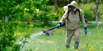 У парках Тернополя розпочалися заходи зі знищення кліщів: містянам радять утриматися від відвідування