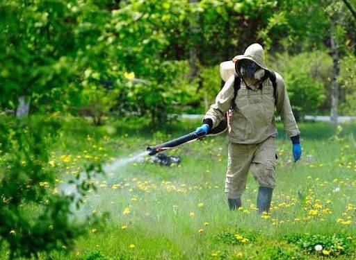 У парках Тернополя розпочалися заходи зі знищення кліщів: містянам радять утриматися від відвідування