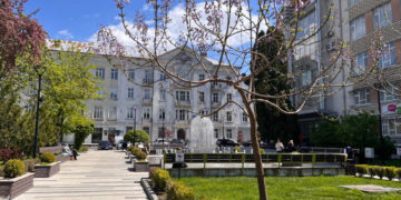 Квітучий Тернопіль: в центрі міста зацвіла унікальна рослина