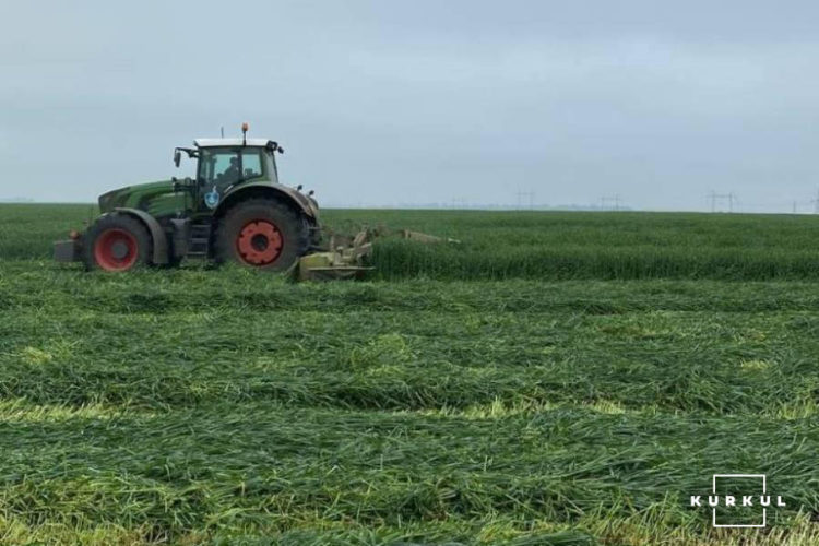 На Тернопільщині господарство отримує два врожаї в рік з одного поля