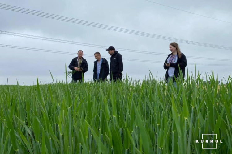 На Тернопільщині господарство отримує два врожаї в рік з одного поля
