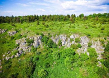 Тернопільська прокуратура повернула у склад заповідника “Медобори” землю вартістю понад 20 мільйонів гривень