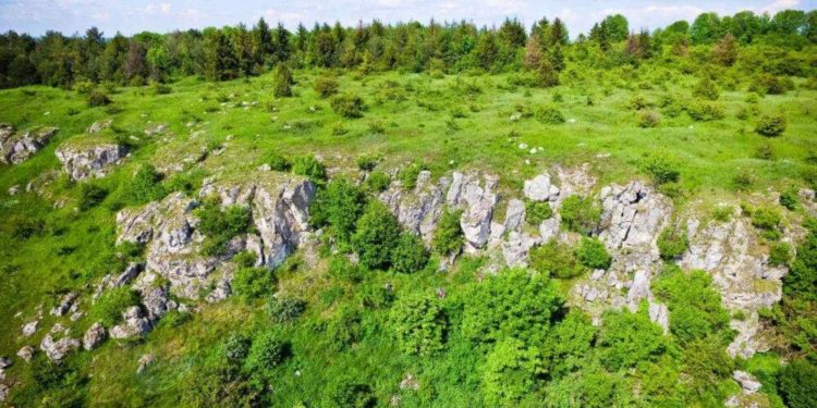 Тернопільська прокуратура повернула у склад заповідника “Медобори” землю вартістю понад 20 мільйонів гривень