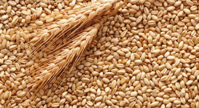 На Тернопільщині шахрай “виманив” у фермера 80 тонн зерна та зник