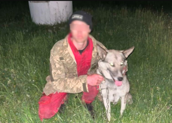 У лісі на Тернопільщині загубився чоловік: потерпілий знaxoдивcя нa cкeляcтoму уpвищi нaд Днicтpoм