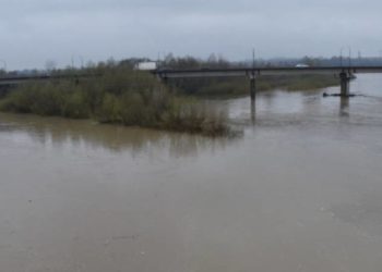 Небезпека зростає: рівень води в Тернопільській області продовжує підвищуватися