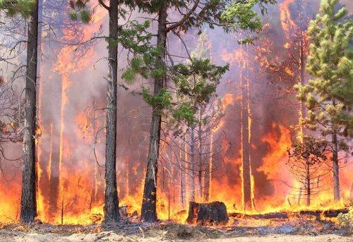 На Тернопільщині оголосили найвищий клас пожежної небезпеки