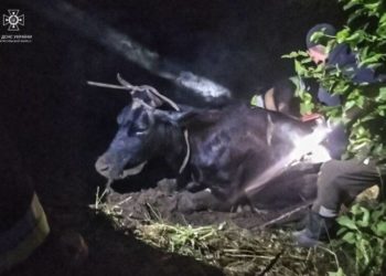 Рятувальники Тернопільщини спасли домашню тварину, яка потрапила в пастку