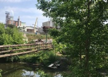 У річці на Тернопільщині загинуло понад 5 тисяч рибин