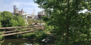 У річці на Тернопільщині загинуло понад 5 тисяч рибин