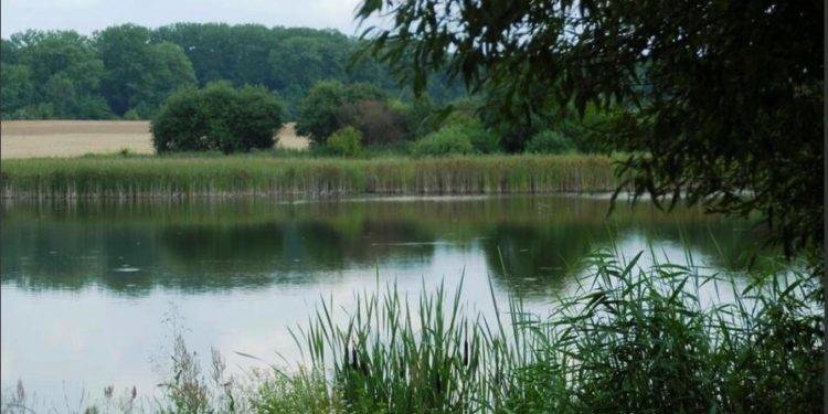 Прокурорам “закон не писаний”: на Тернопільщині розгортається новий скандал