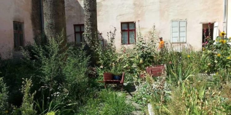 Тернополянка виступає проти руйнації пам’ятки архітектури у центрі міста