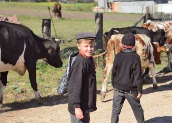 В громаді на Тернопільщині зняли випуск популярної телепрограми “Світ навиворіт”