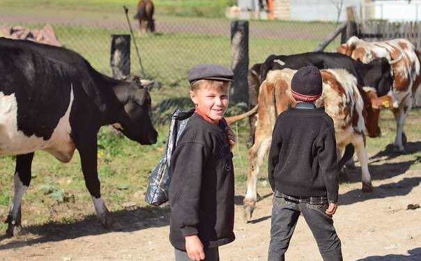 В громаді на Тернопільщині зняли випуск популярної телепрограми “Світ навиворіт”